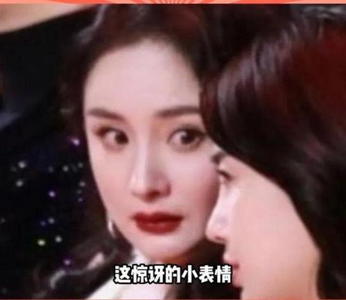 娱乐圈瓜吃啥意思,揭秘明星幕后故事与八卦传闻